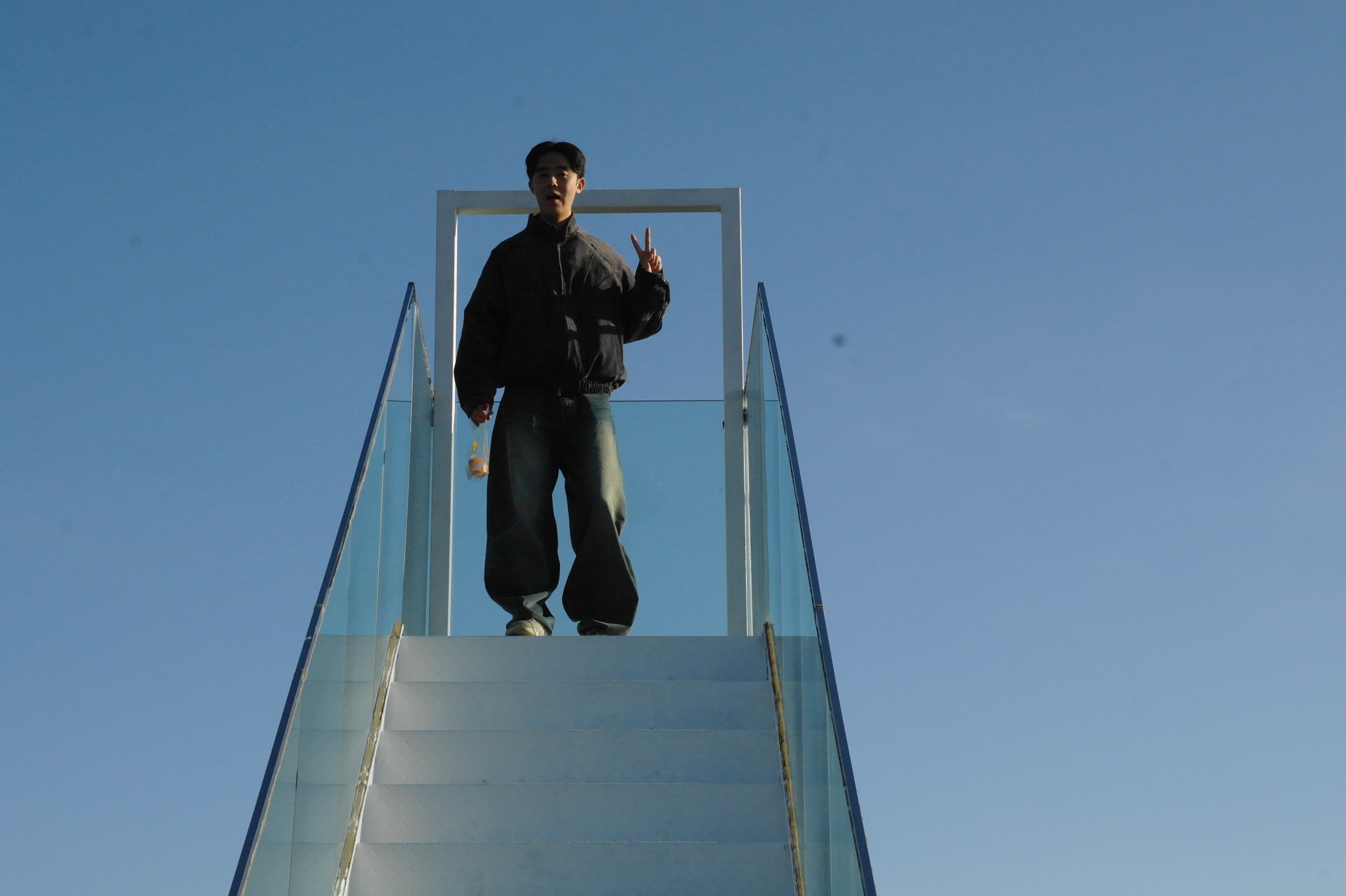 Jeju Tangerine Farm - image 5