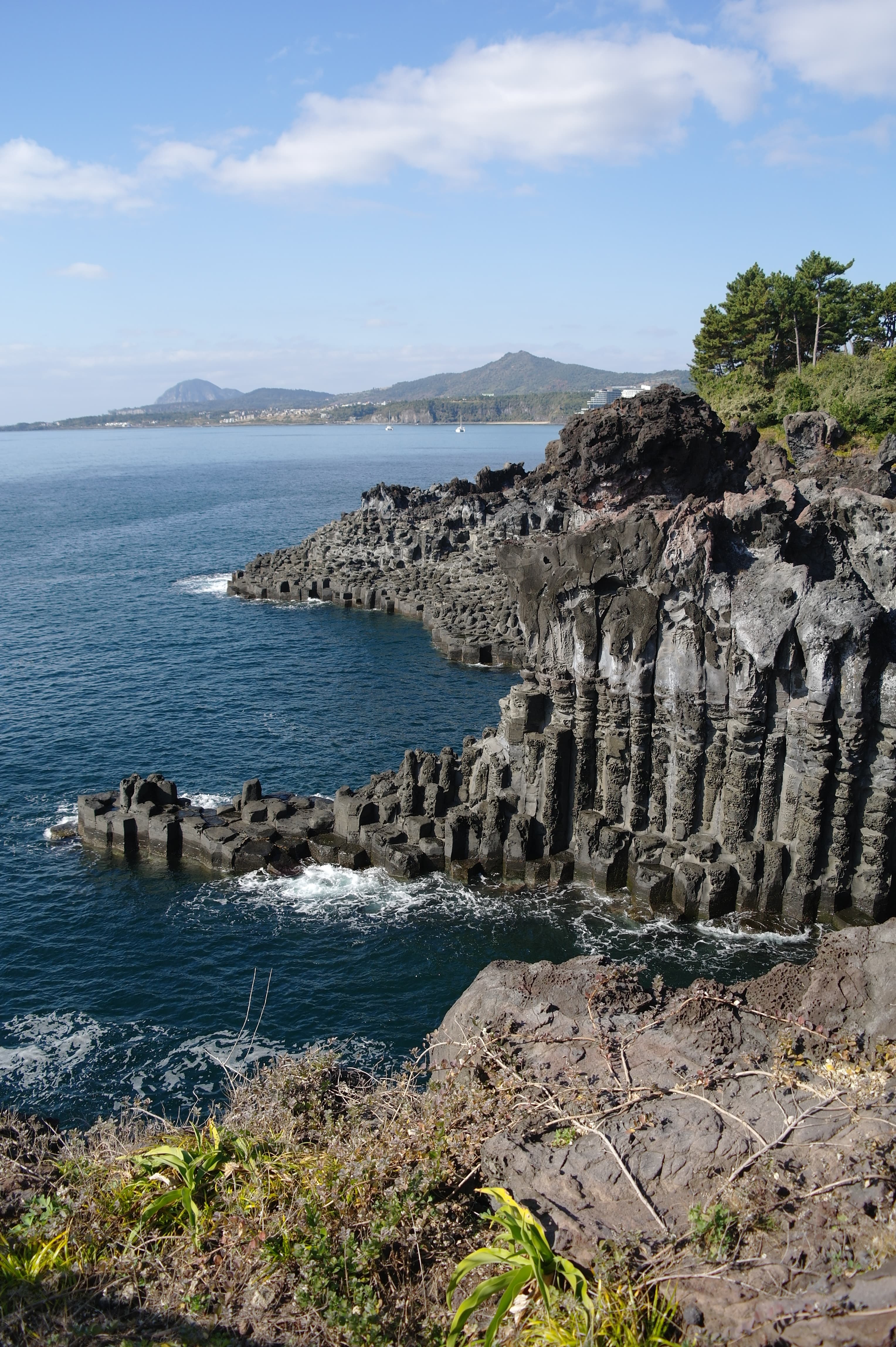 Jusangjeolli Cliff - image 2